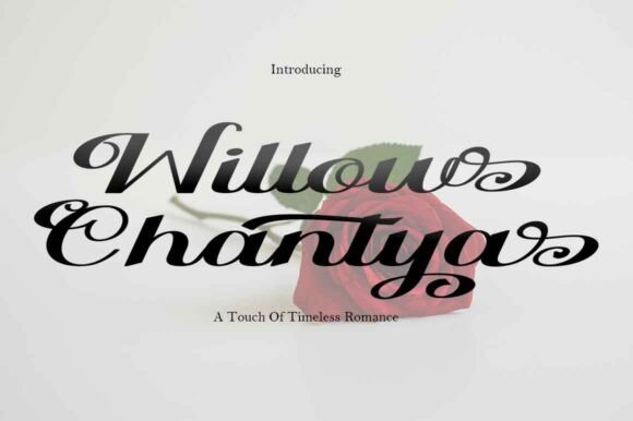 Willow Chantya Font: Elevating Small Business Branding